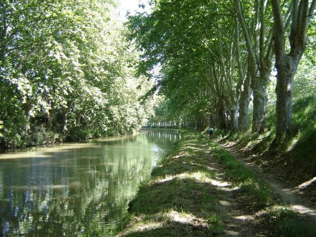 Fietsen langs het Canal du Midi.