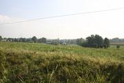 Kanton Saint-James